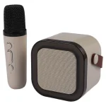 اسپیکر و میکروفون بلوتوثی قابل حمل Sing-E مدل ZQS-K12